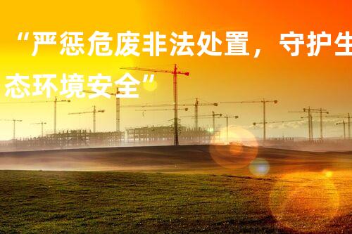 “严惩危废非法处置，守护生态环境安全”