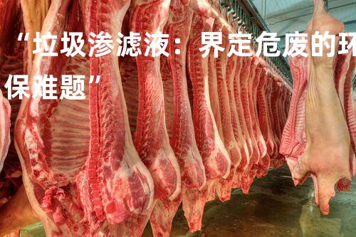 “垃圾渗滤液：界定危废的环保难题”