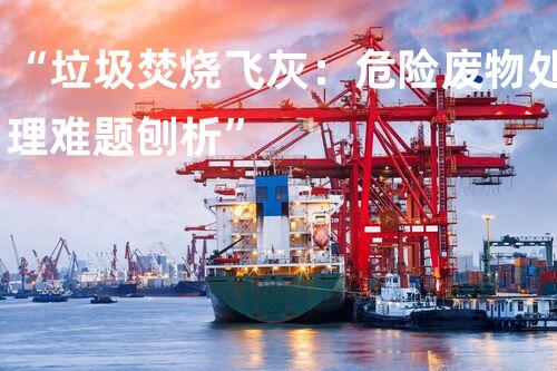 “垃圾焚烧飞灰：危险废物处理难题刨析”