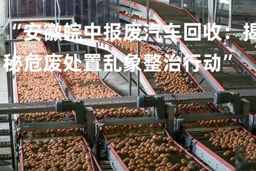 “安徽皖中报废汽车回收：揭秘危废处置乱象整治行动”