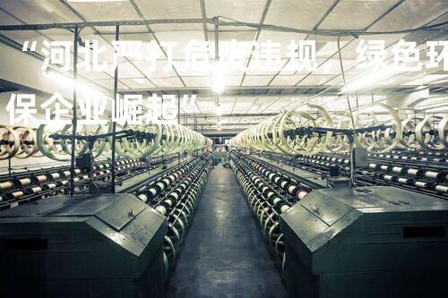 “河北严打危废违规，绿色环保企业崛起”