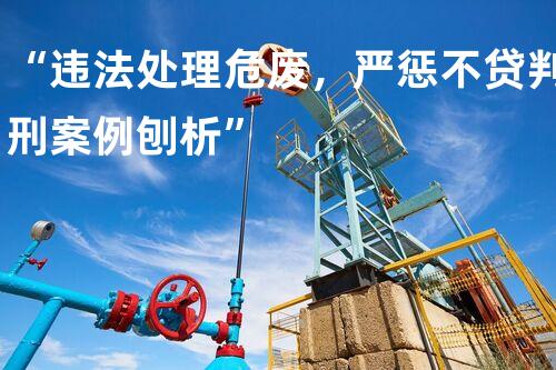 “违法处理危废，严惩不贷判刑案例刨析”