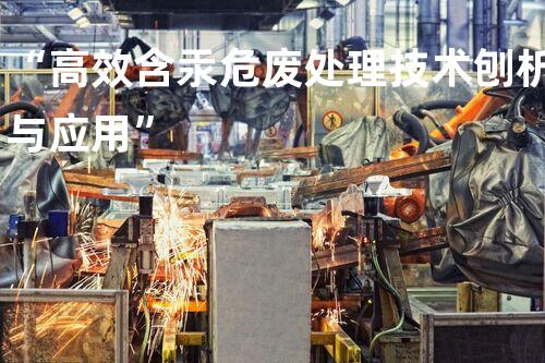 “高效含汞危废处理技术刨析与应用”