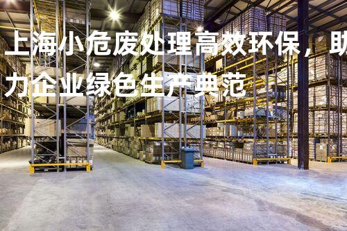 上海小危废处理高效环保，助力企业绿色生产典范