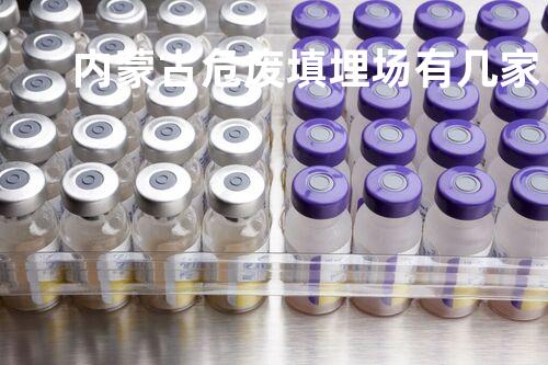 内蒙古危废填埋场有几家