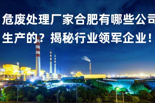 危废处理厂家合肥有哪些公司生产的？揭秘行业领军企业！