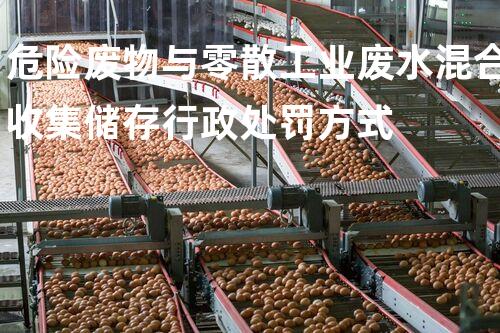 危险废物与零散工业废水混合收集储存行政处罚方式