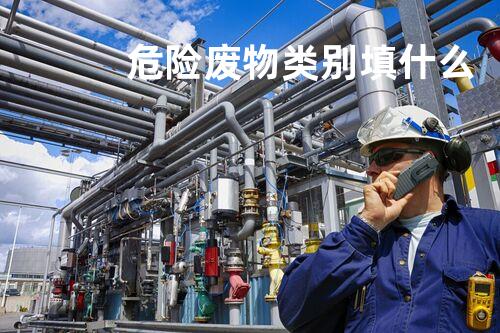 危险废物类别填什么