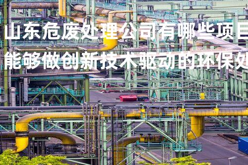 山东危废处理公司有哪些项目能够做创新技术驱动的环保处理方案：从废物到资源的转变