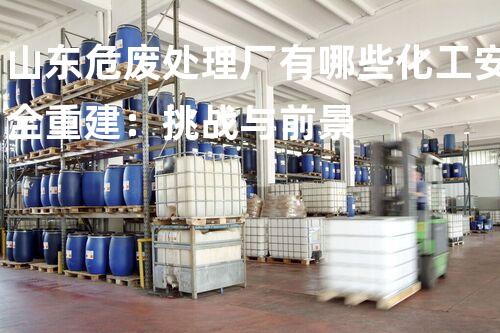 山东危废处理厂有哪些化工安全重建：挑战与前景