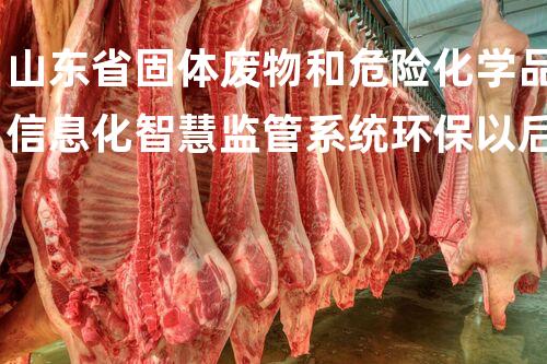 山东省固体废物和危险化学品信息化智慧监管系统环保以后：如何处理危险废物？