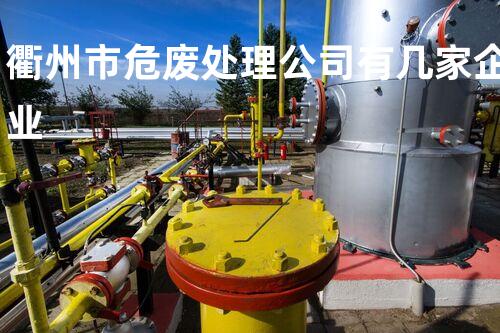 衢州市危废处理公司有几家企业