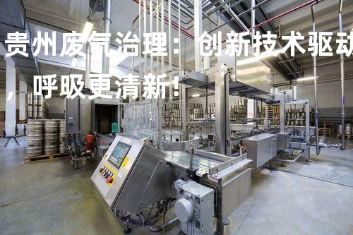 贵州废气治理：创新技术驱动，呼吸更清新！