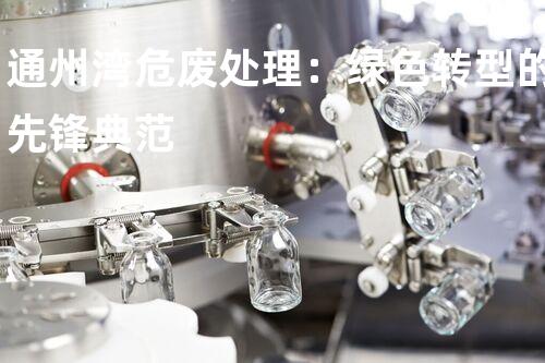 通州湾危废处理：绿色转型的先锋典范